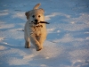 20081222 Christmas 153